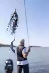 NCveZgKe3DudhK7wS5HbLdjP0id5r7ORCPWgeHum.jpg