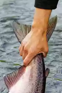 So6fL8lLi36dxrYFwFPzvHxhN5gnr8pAdskOEWG7.jpg
