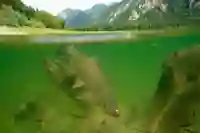 kyjH6wwDWHX6XI5LlZRuadhtxgYrlMLlJT2nNQYz.jpg